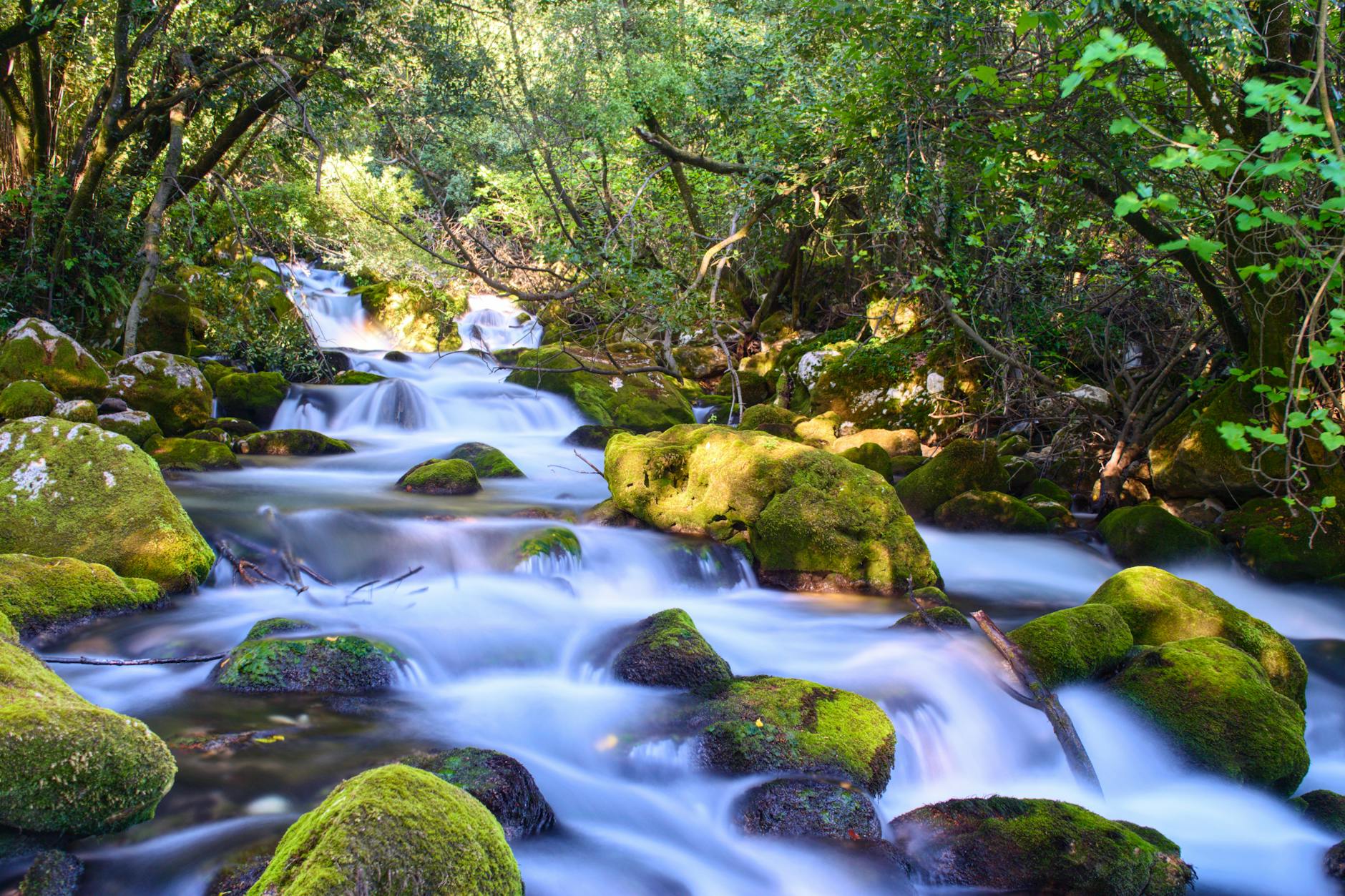 spectacular view of rapid highland river through mossy stones